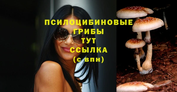хмурый Арсеньев