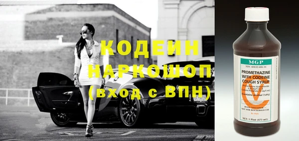 хмурый Арсеньев