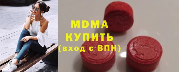 хмурый Арсеньев