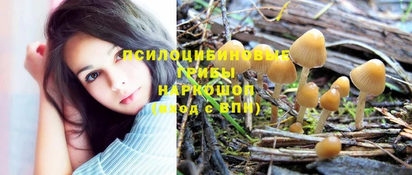 спиды Армянск