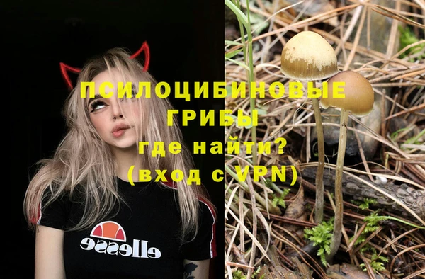 хмурый Арсеньев