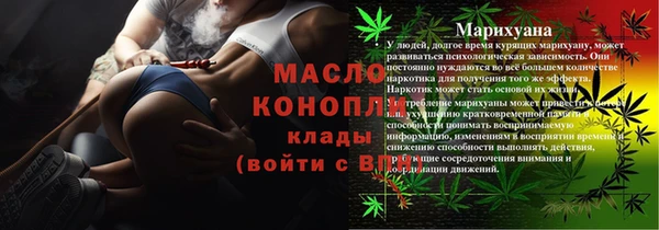 хмурый Арсеньев