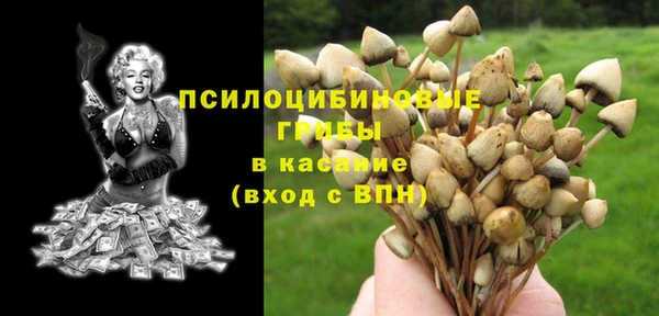 спиды Армянск