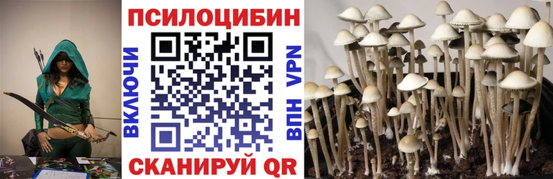магазин продажи наркотиков  Сковородино  Галлюциногенные грибы GOLDEN TEACHER 