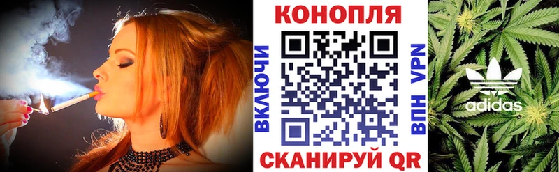 Канабис семена  Сковородино 